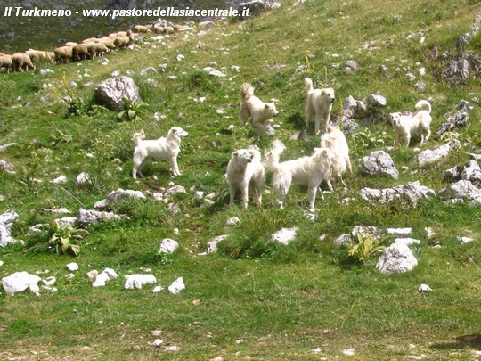 paura di incontrare persone che conosco